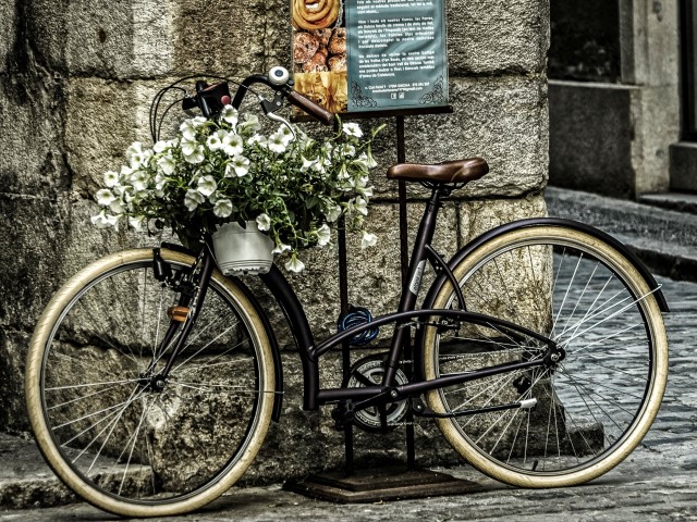 bike & flowers